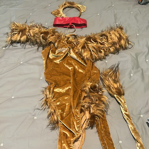 Forplay costume COMPLETE SET used once sz L/XL - Picture 2 of 3